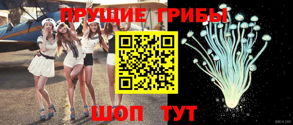 Псилоцибиновые грибы Psilocybe Мыски